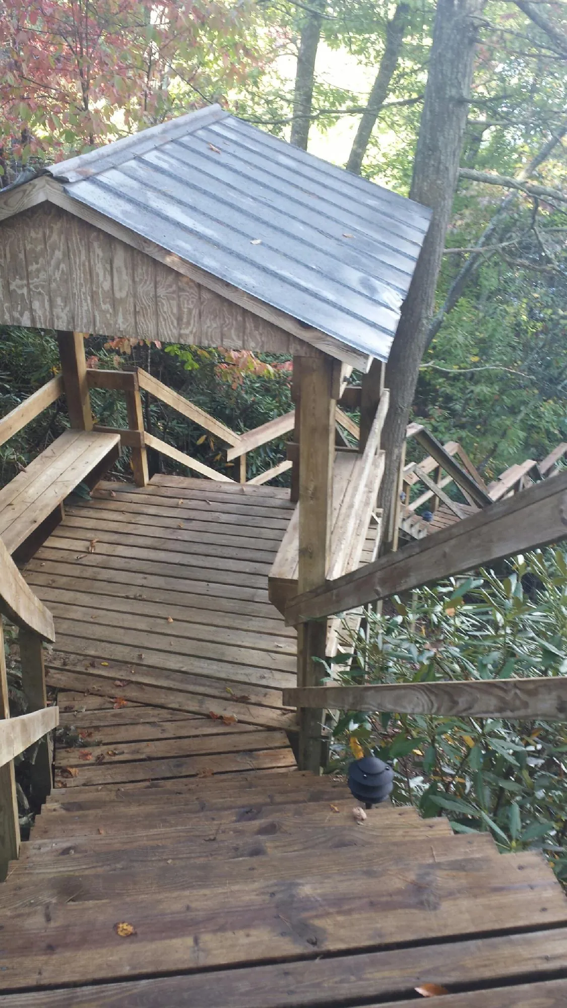Metal roofed shelter over wooden steps on a wooded walkway — Skylight Repair & Installation work by our crew in Fernwood