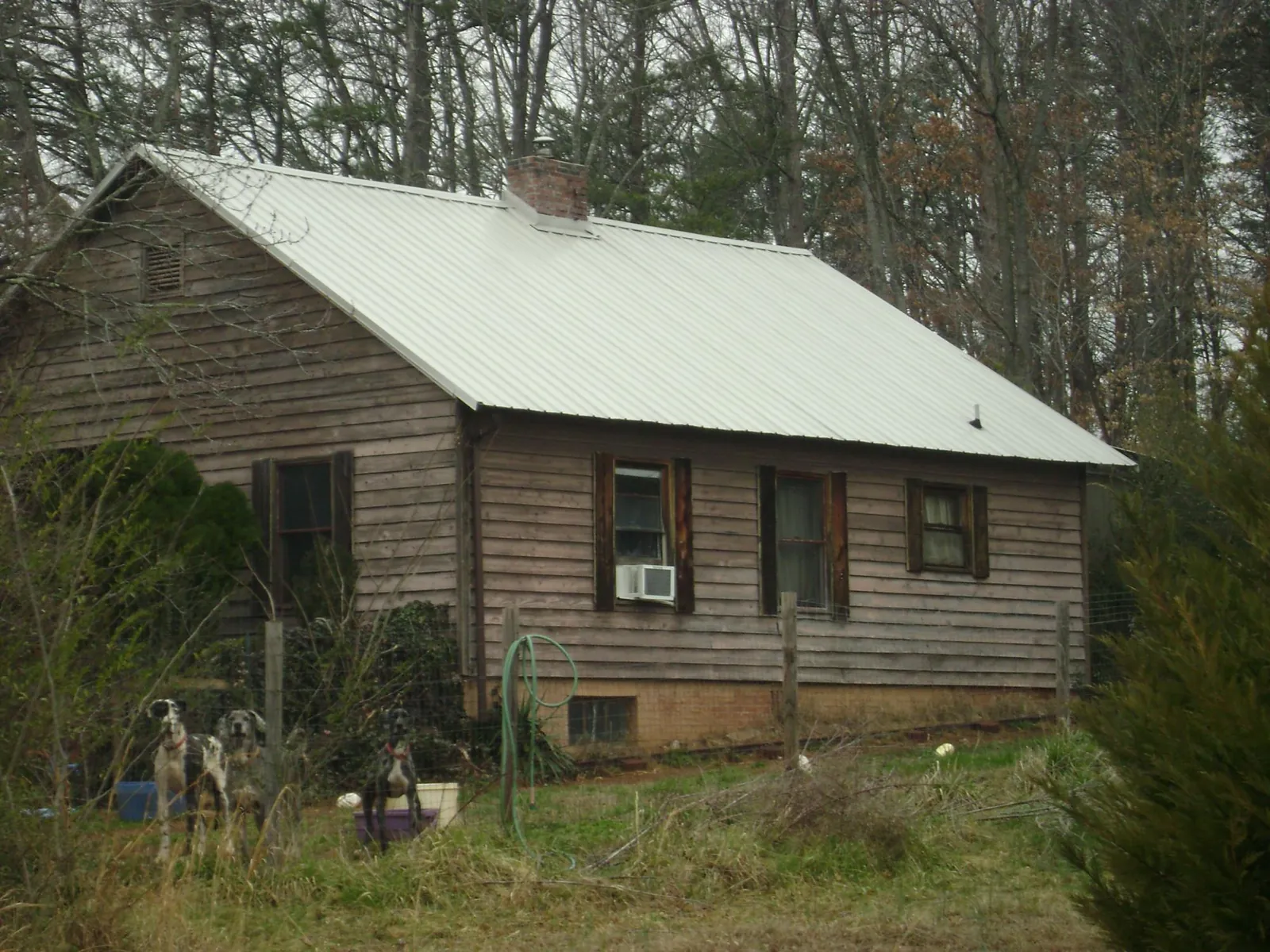 White metal roof on an old wood sided farmhouse, from a Asphalt Shingle Roof Repair job in Fernwood